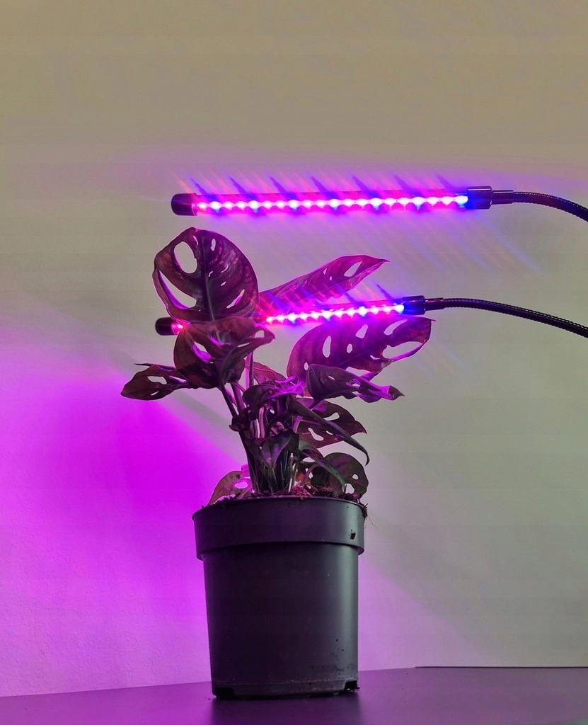 2 szt x LAMPA DO WZROSTU ROŚLIN 40 LED TIMER PILOT