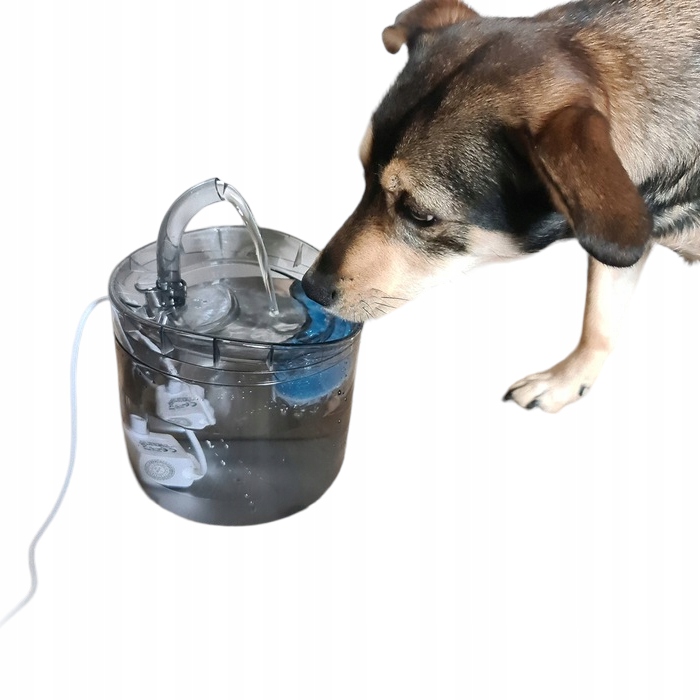 POIDEŁKO DOZOWNIK AUTOMAT FONTANNA DLA KOTA PSA