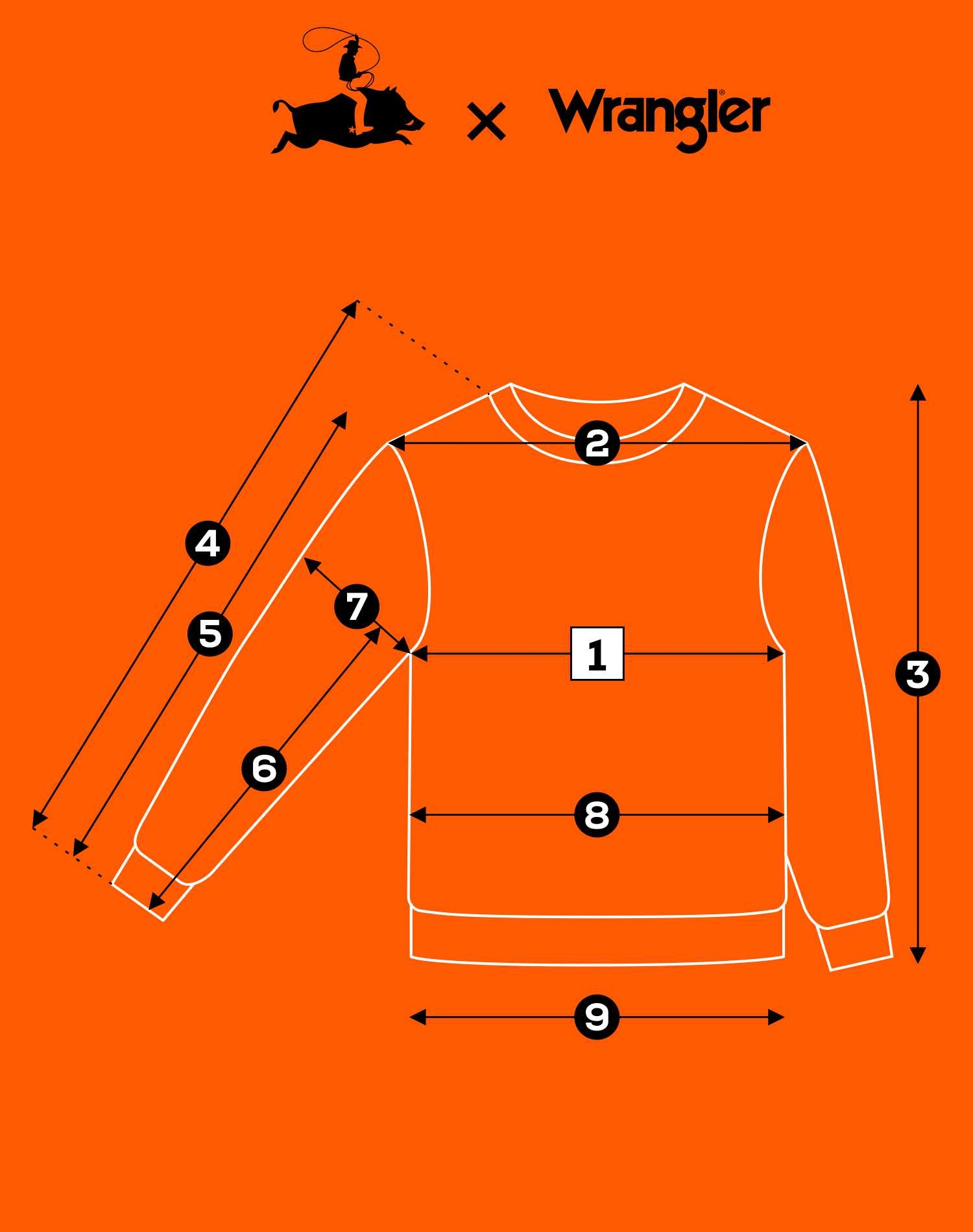 Imagine necunoscută