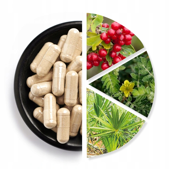 XtraBig - Suplement diety na męskość