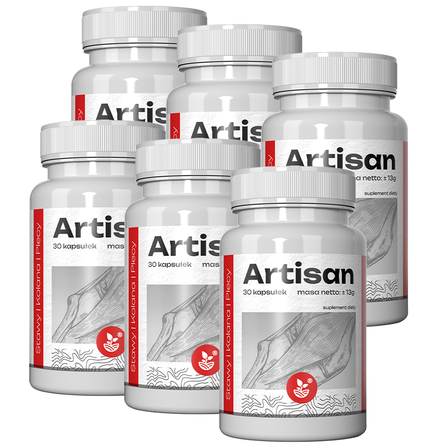 Artisan - wspomaga pracę stawów 180 kaps