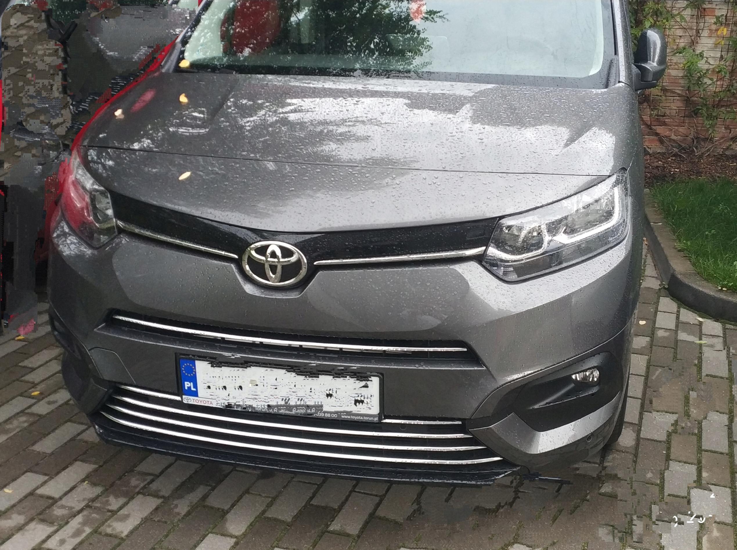 Seat Tarraco, Mii, Alhambra - Listwy chrom na grill chromowane na