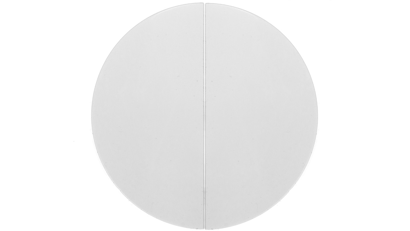 Berker R.1/R.3 Klawisz podwójny do łącznika biały 16232089