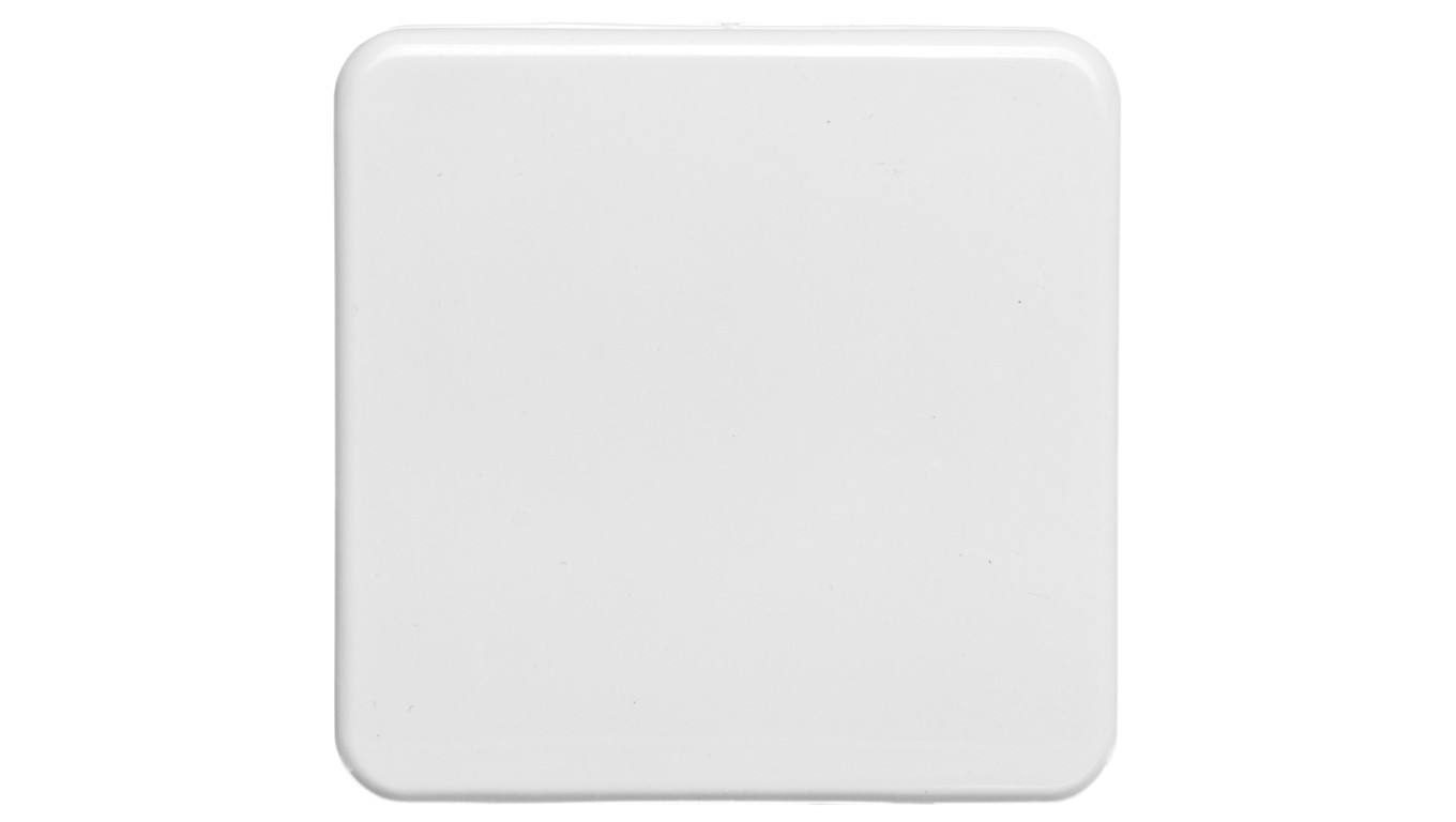 Berker IP44 Płytka czołowa gniazda z/u z pokrywą p/t bryzgoszczelne IP44 śnieżnobiały 39420409