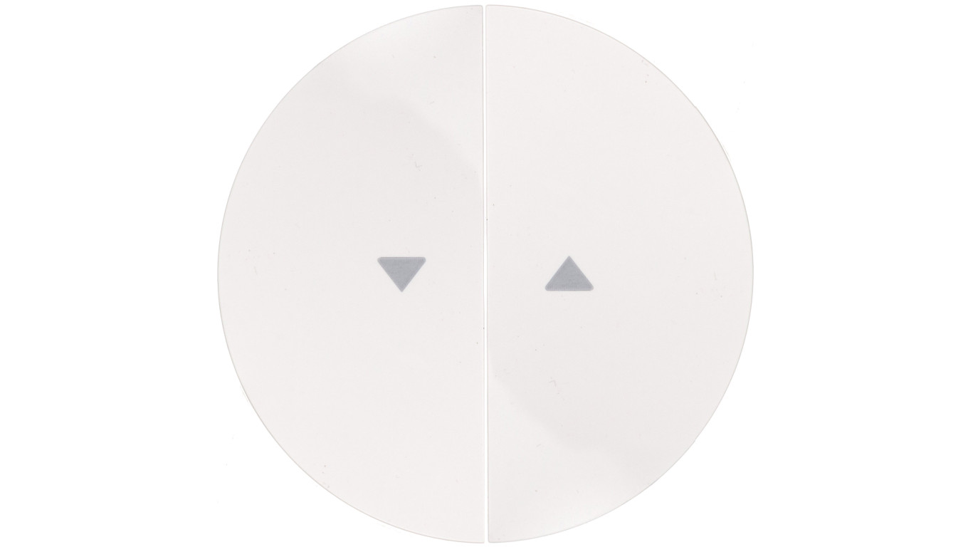 Berker R.1/R.3 Klawisz podwójny do łącznika żaluzjowego z symbolem /strzałka/ biały 16252089