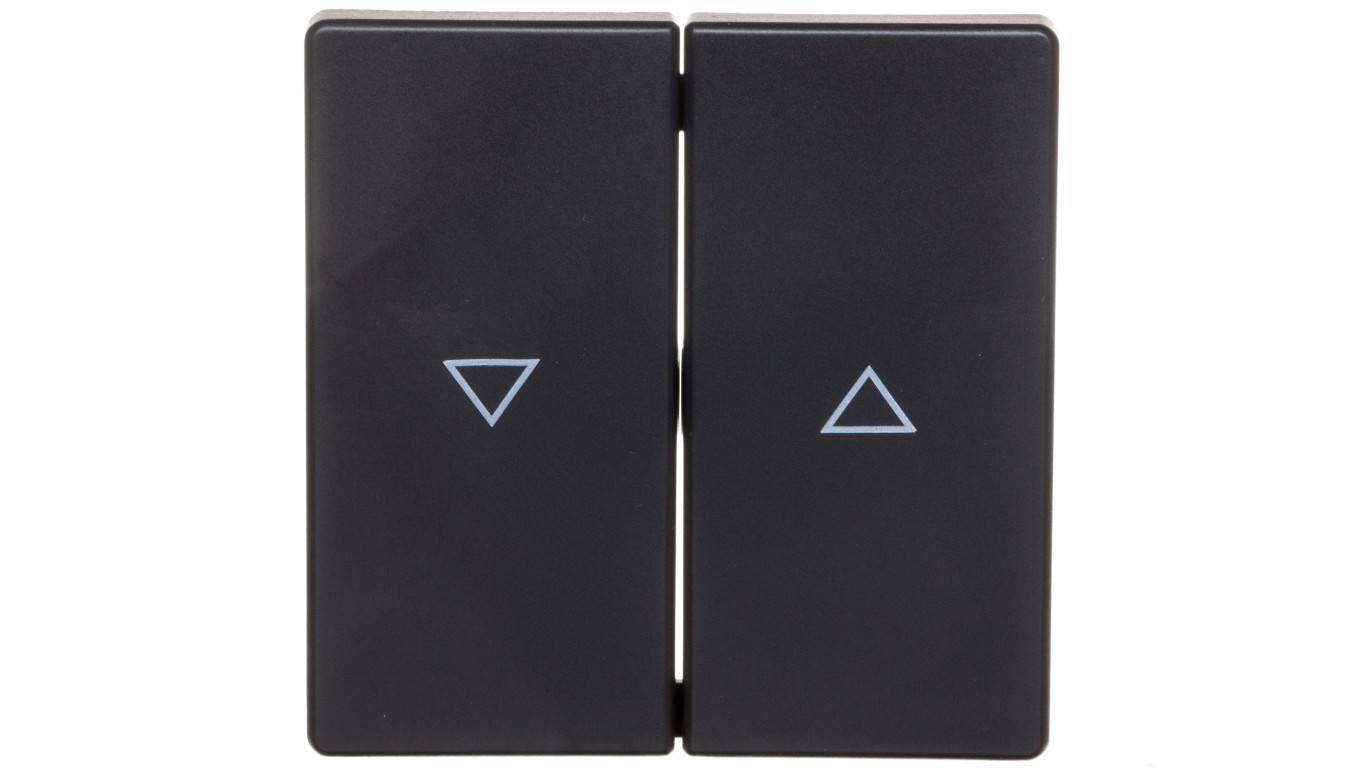Berker Q.1/Q.3 Klawisze z nadrukiem symbolu /strzałka/ antracyt/ aksamit 16256086