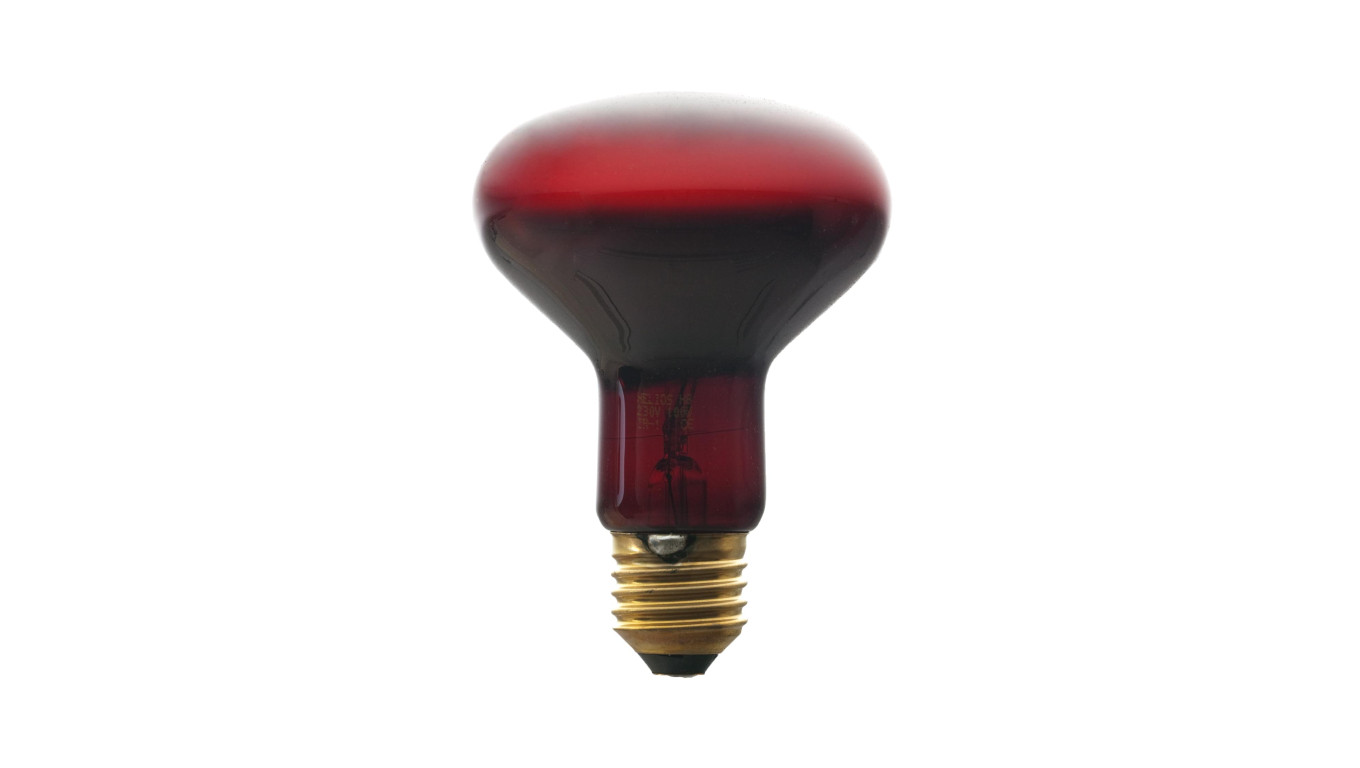 Promiennik podczerwieni E27 100W R80RB do terrarium PRO-1465