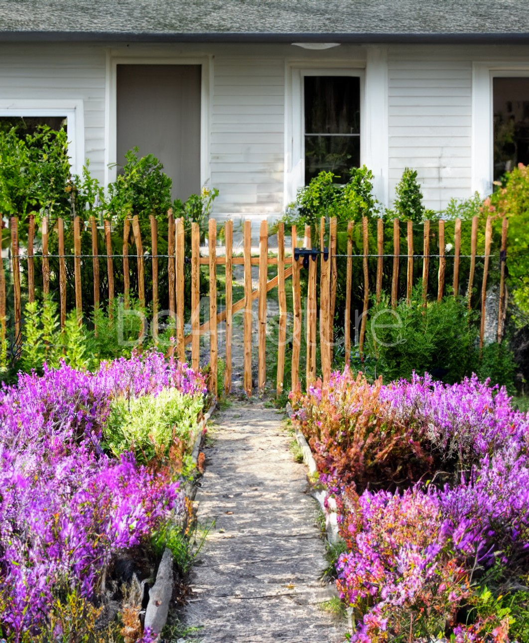 be4nature Płot leszczynowy 500 x 100 cm rozstaw szczebelków 8-10 cm