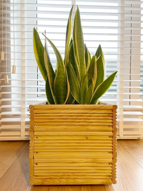 be4nature Doniczka kwadratowa modrzewiowa Nieimpregnowana 50 x 33 cm