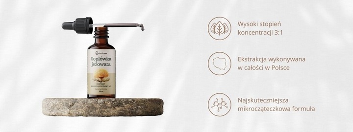 SOPLÓWKA JEŻOWATA KROPLE EKSTRAKT ADAPTOGENY Suplement lion's mane 50 ml