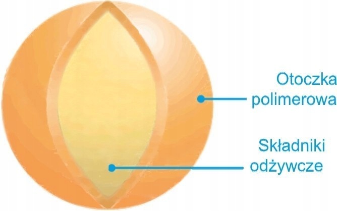Barfertile Universal Nawóz letni 5kg Barenbrug