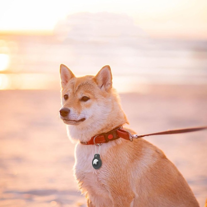 Etui / brelok Tech-Protect do Apple AirTag, wytrzymały pokrowiec, case 2szt