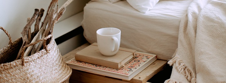 Reishi Ganoderma lucidum 30G SOLVE LABS Ekstrakt