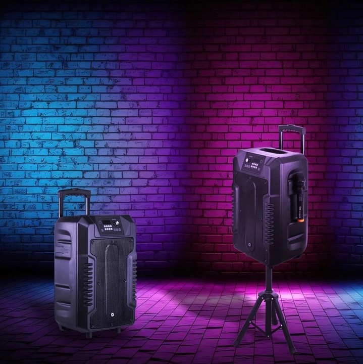 Głośnik Bluetooth Manta Power Audio SPK1203B100