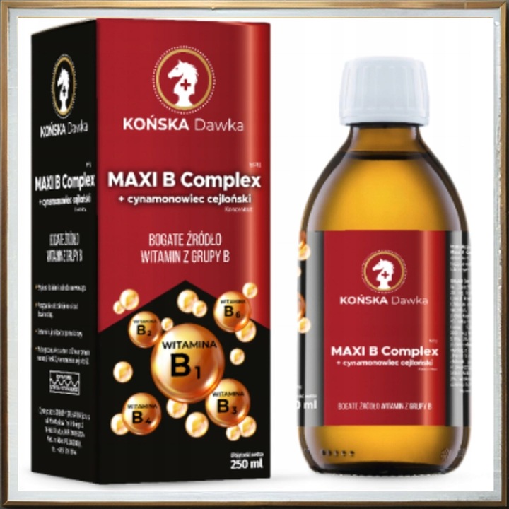 Witamina B B1B2 B3 KOŃSKA DAWKA Cynamonowiec cejloński MAXI B Complex