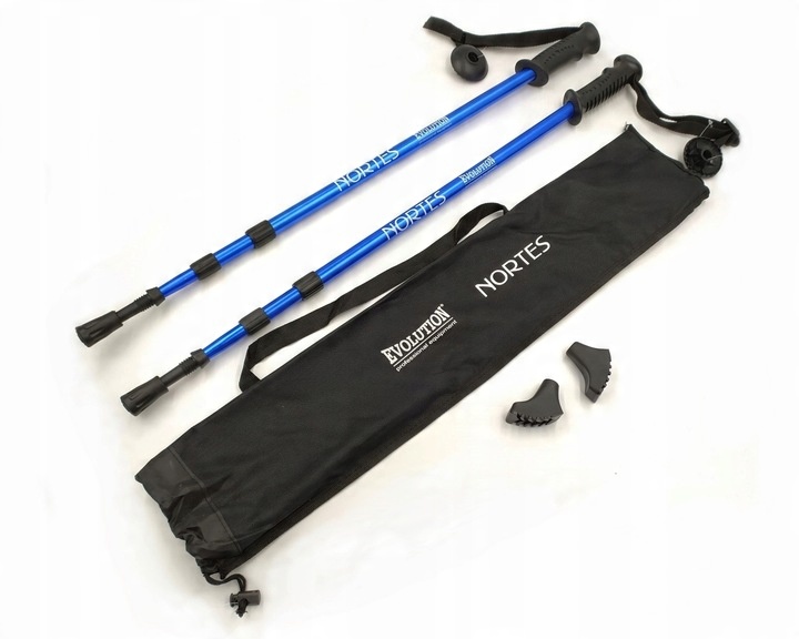 KIJE KIJKI TREKKINGOWE NORDIC EVOLUTION NORTES