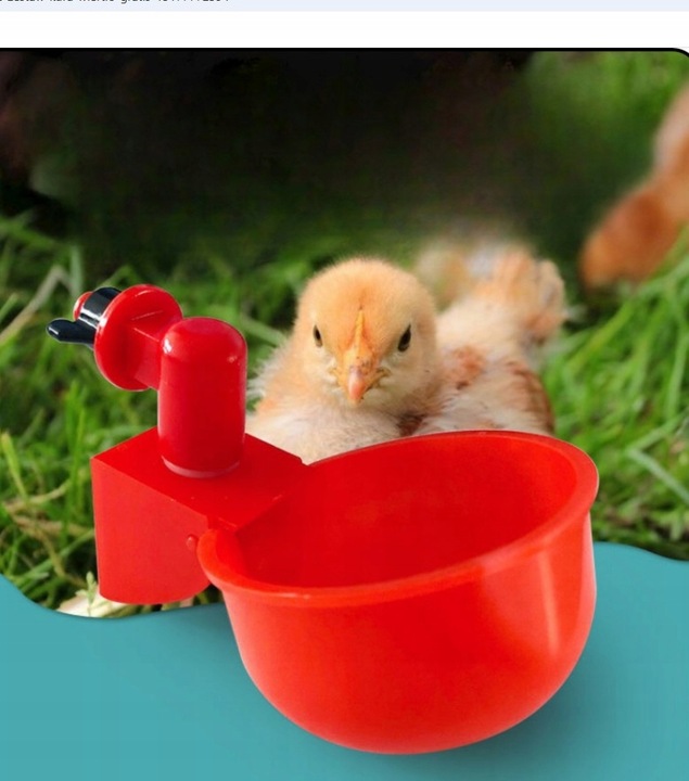 16x AUTOMATYCZNE POIDŁO POIDEŁKO DO WIADRA DLA DROBIU WIERTŁO GRATIS