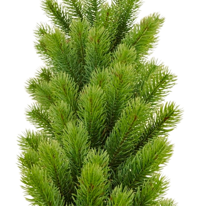 GIRLANDA Świąteczna Świerk PE 200 cm GĘSTA 144 gałązki jak naturalna