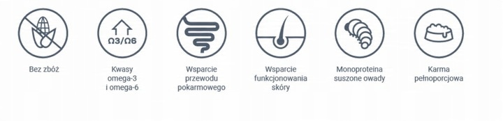 4T Veterinary Diet Dog Hypoallergenic Insect 2kg