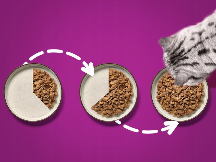 Karma dla kota WHISKAS Mix smaków (80 x 85 g)