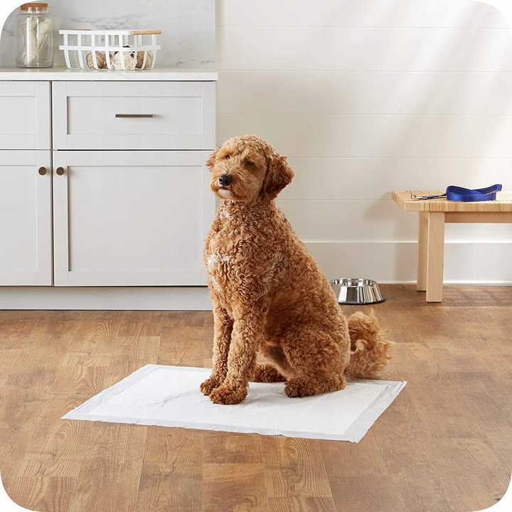 PODKŁADY HIGIENICZNE MATY DLA PSA NAUKA SIKANIA 60x60 100szt 600ml 8gr SAP