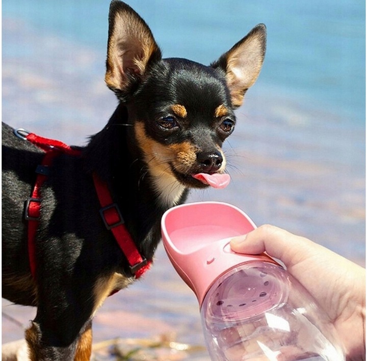 BUTELKA NA WODĘ DLA PSA BIDON POIDŁO MISKA 0,5L PRZENOŚNA SPACER TURYSTYCZN