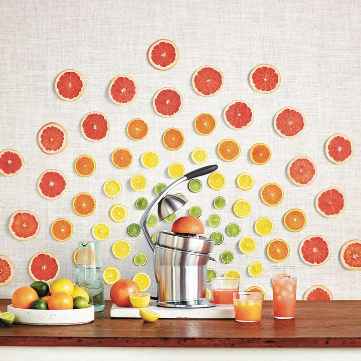 Wyciskarka do Cytrusów SCP800 THE CITRUS PRESS PRO