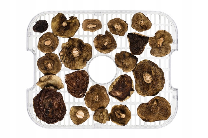 Suszarka spożywcza do GRZYBÓW WARZYW OWOCÓW MIĘSA INOX TERMOOBIEG 400W