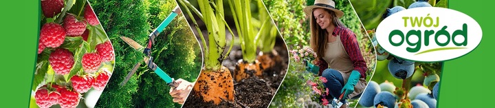 TRUTKA NA ŚLIMAKI ŚRODEK NA ŚLIMAKI 1KG GRANULAT LIMA ORO 5GB