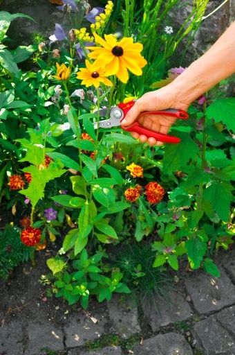 Sekator kowadełkowy Wolf Garten RS 2500