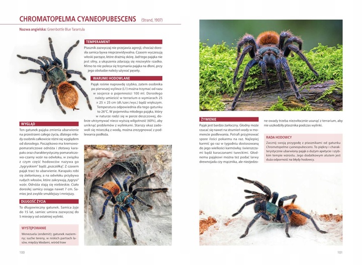 Atlas Pająków Książka O Pająkach Hodowlanych Encyklopiedia P. Malgrab SBM