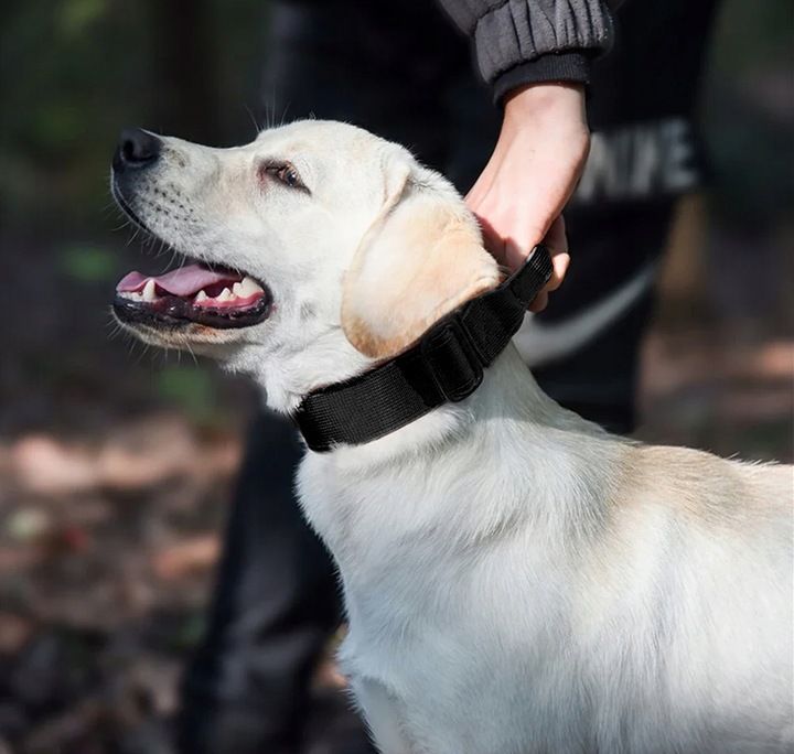 MEGA MOCNA SOLIDNA OBROŻA TAKTYCZNA DO DUŻEGO PSA METALOWA KLAMRA 45-65 XL