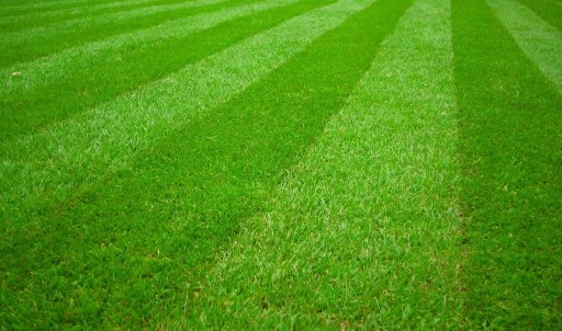 NAC KOSIARKA SPALINOWA Z NAPĘDEM DPO TRAWY 40CM 40L 127cm³ LS40-127R-JN