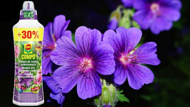 NAWÓZ DO ROŚLIN BALKONOWYCH PELARGONII SURFINII PETUNII PŁYNNY 1,3L COMPO