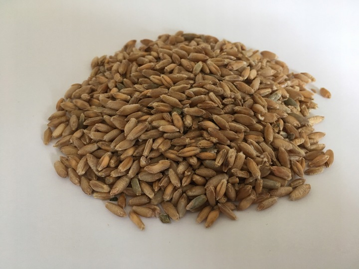 Pasza karma ziarna dla kur niosek bez GMO susz marchew pokrzywa NATURALNA