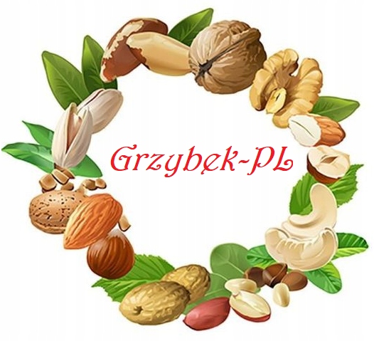 ORZECHY NERKOWCA W KARMELU 500G z USA - Hit!!