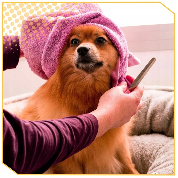 MASZYNKA DO STRZYŻENIA PSÓW PSA KOTA ZWIERZĄT ZESTAW CICHA PROFESJONALNA