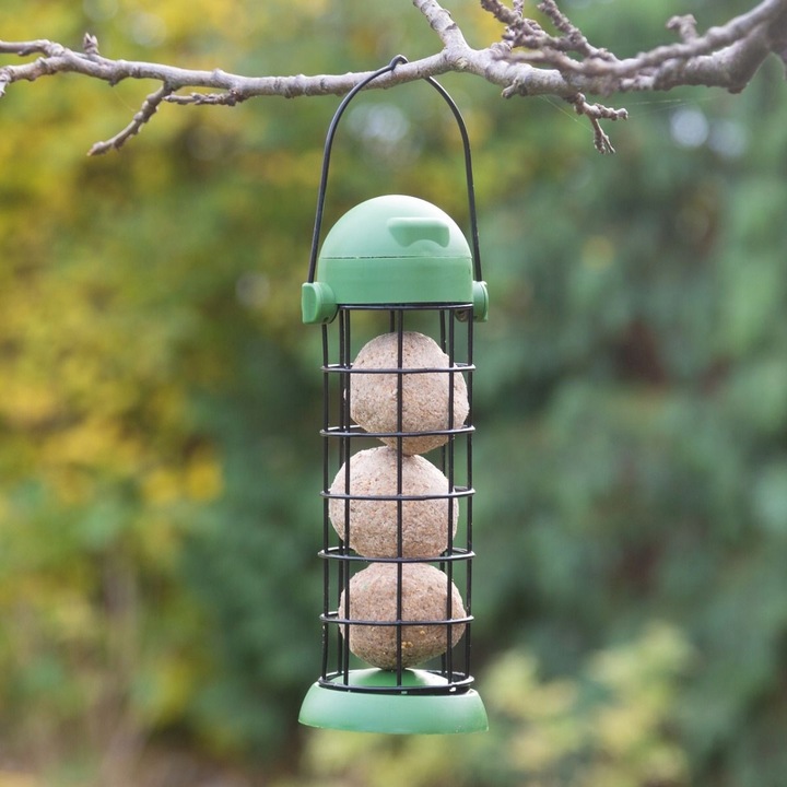 Karmnik latarnia + kule tłuszczowe 30 x 90 g dzikie ptaki dokarmianie