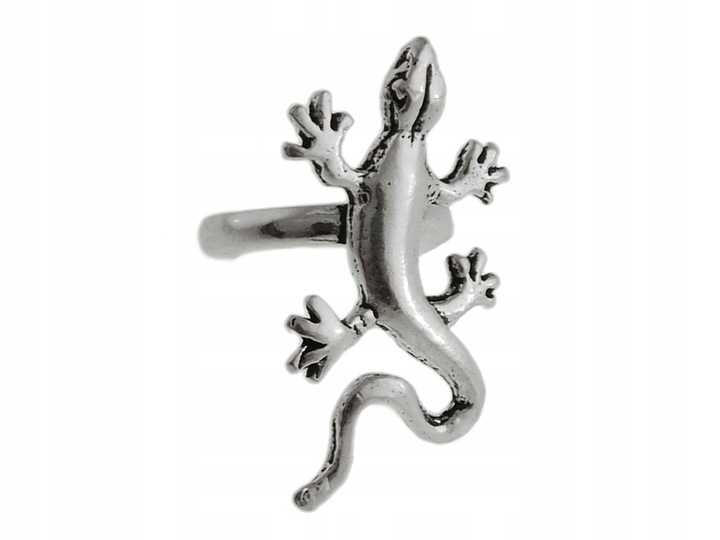 NAUSZNICA GEKON JASZCZUR JASZCZURKA GAD kn032