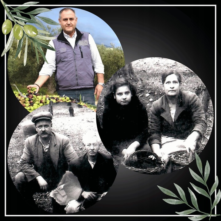 Oliwa z oliwek 1l Extra Virgin obsypana medalami PIERWSZA W PL ZBIÓR 24/25