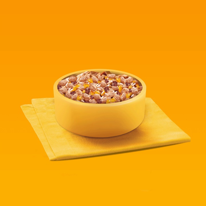 PEDIGREE JUNIOR WYBÓR SMAKÓW Z RYŻEM SASZETKI 40X100G W GALARETCE