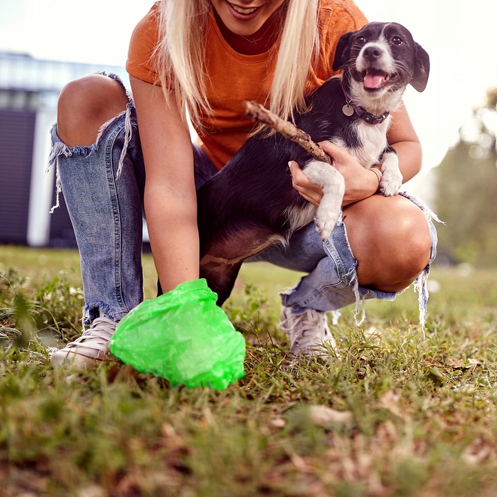 WORKI WORECZKI NA PSIE ODCHODY KUPY KUPA PSA TOREBKI MOCNE ZESTAW 1500 SZT