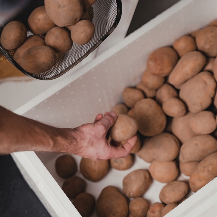 Termobox 15,5L pojemnik styropianowy LODÓWKA TERMO