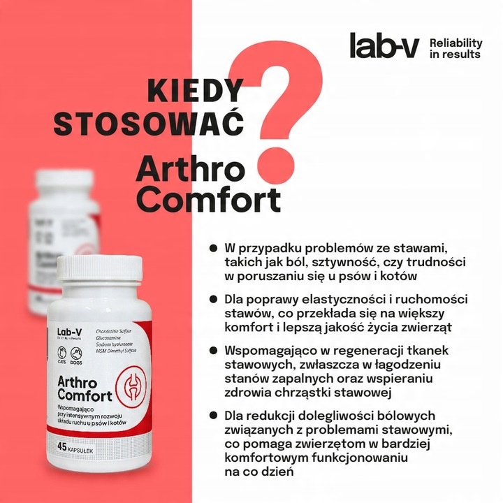 LAB-V Arthro Comfort wsparcie zdrowia stawów dla psów i kotów 90 kapsułek