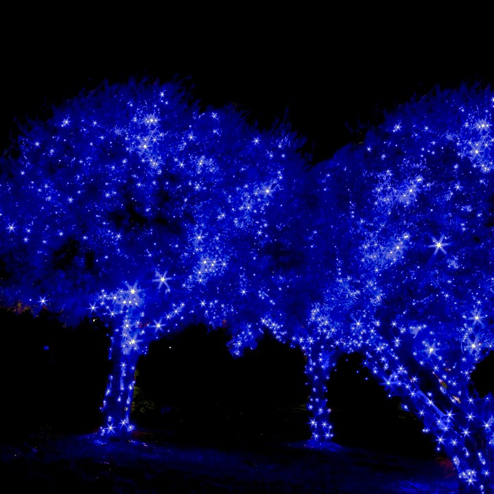 LAMPKI CHOINKOWE 500 LED ZEW/WEW NIEBIESKI