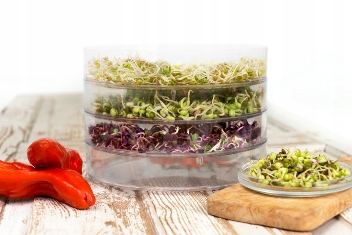 KIEŁKOWNICA 3 SZALKI + 10 opakowań nasion - KIEŁKI