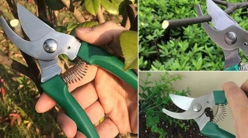 Zestaw narzędzi ogrodowych w walizce 10 elementów