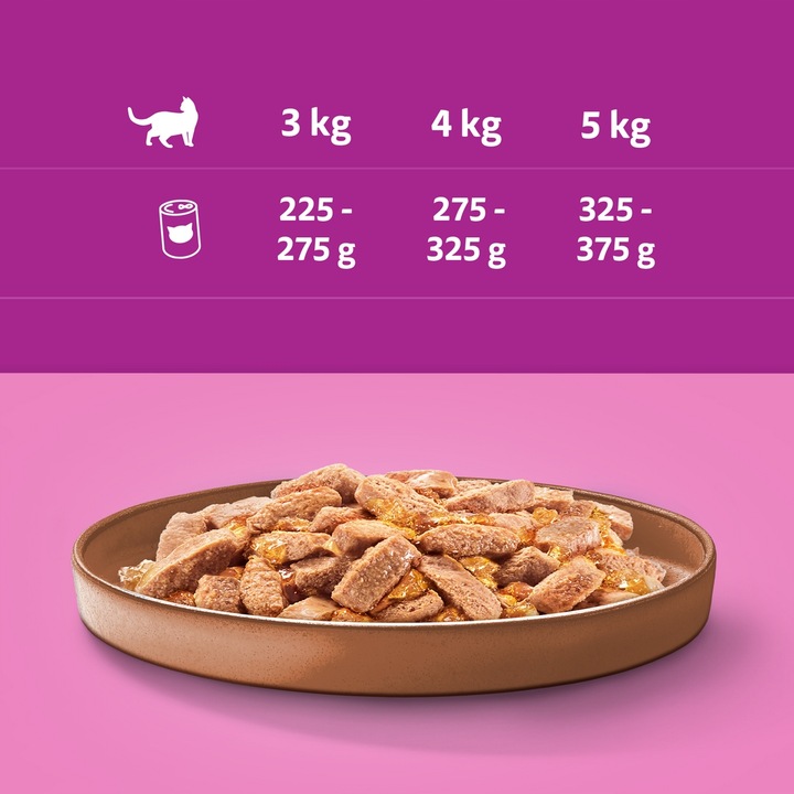 Whiskas Mix Smaków Mokra Karma Dla Kota Adult 24x400g Puszki Whiskas 9,6kg