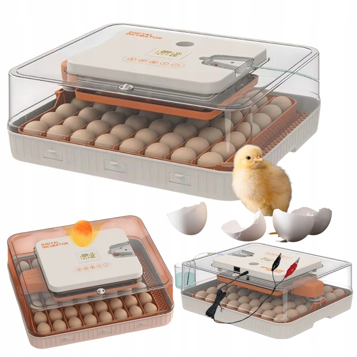 Inkubator Automatyczny 56H 56 Jaj Z Owoskopem 12V Klujnik Wylęgarka Drobiu