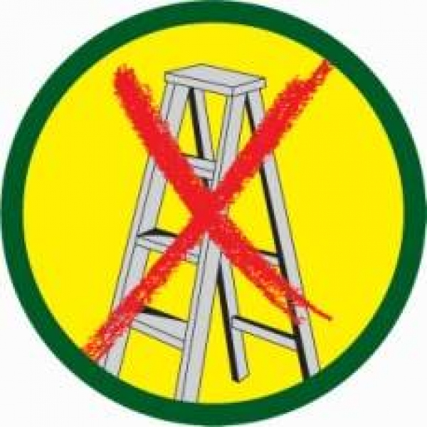 Nożyce ręczne SEKATOR DO DRZEW RC-VM Wolf Garten 29,5 cm